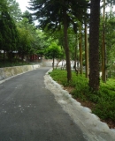 hongshan3.jpg